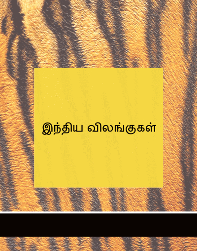 learn indian animals in tamil