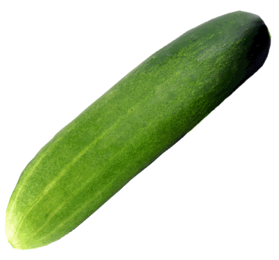 cucumber in tamil